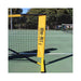 picklenet mini 10 feet practice net badminton driveway garage value deal pb pickle ontario canada oval strong